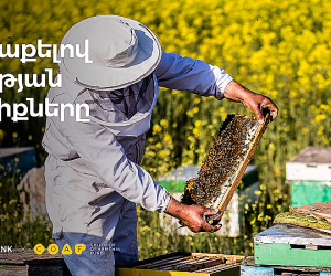 Ameriabank and COAF Pool Efforts to Develop Beekeeping in Lori